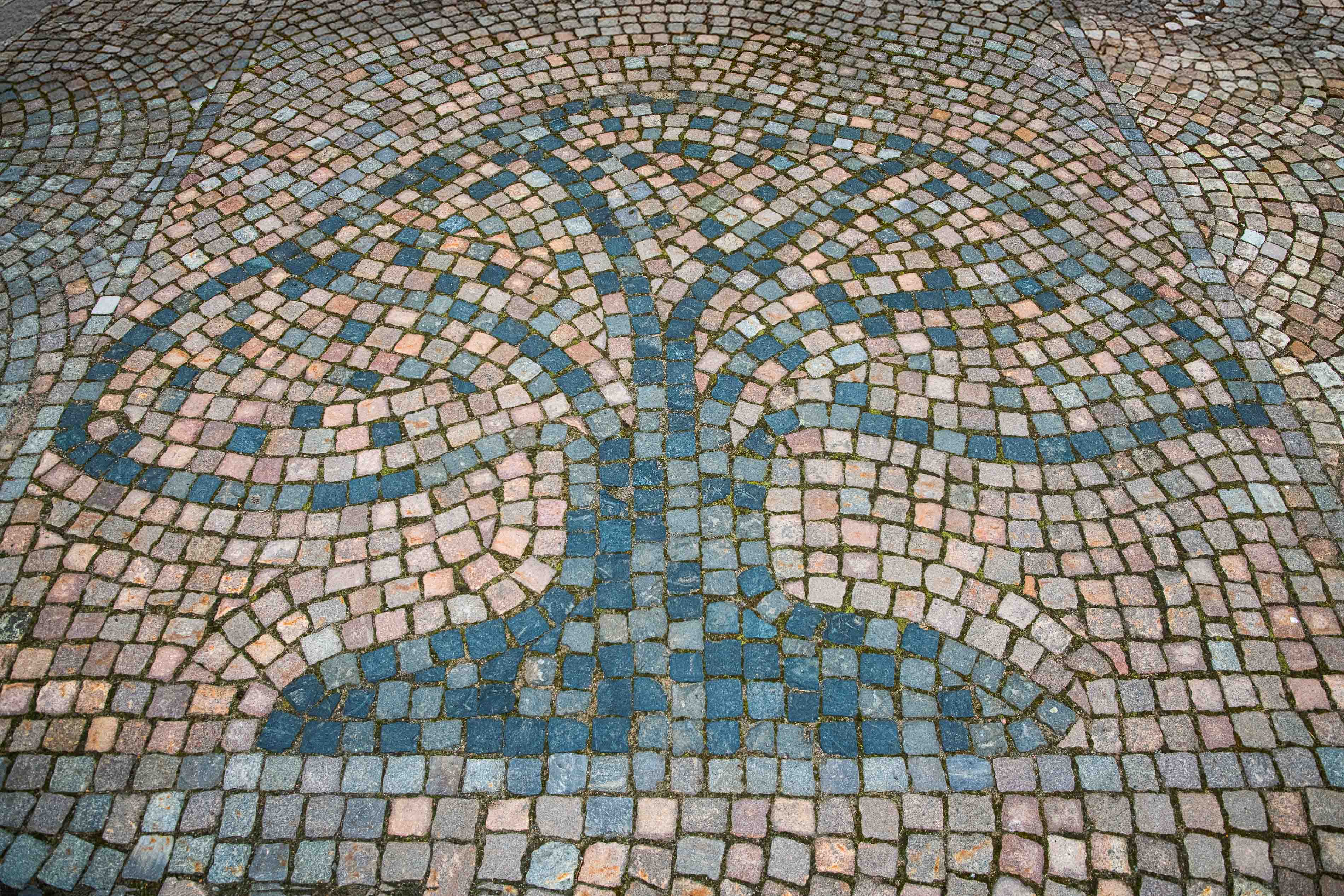 EkhagaUtveckling_JPG_20250317-21.jpg